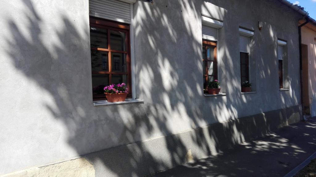 Passion Apartment Pécs Exterior foto