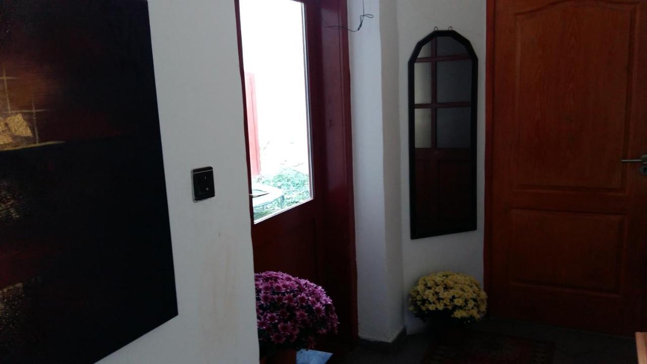 Passion Apartment Pécs Exterior foto